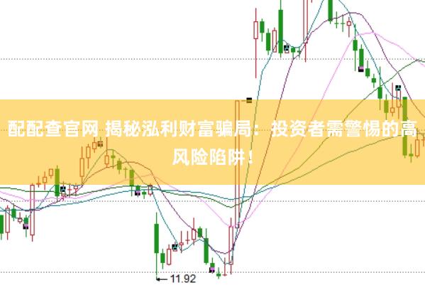 配配查官网 揭秘泓利财富骗局：投资者需警惕的高风险陷阱！