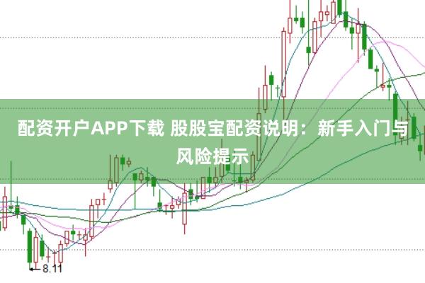 配资开户APP下载 股股宝配资说明：新手入门与风险提示