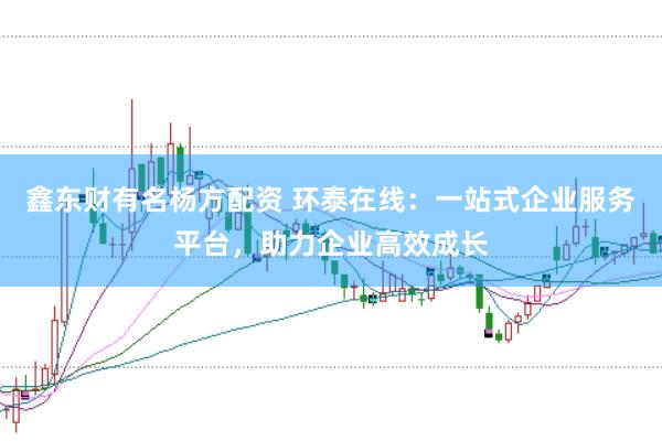 鑫东财有名杨方配资 环泰在线：一站式企业服务平台，助力企业高效成长