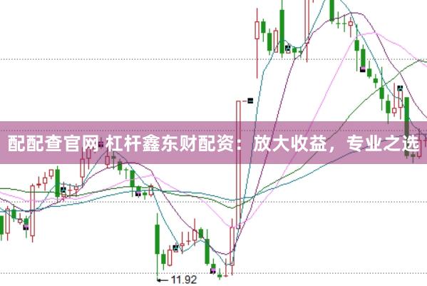 配配查官网 杠杆鑫东财配资：放大收益，专业之选