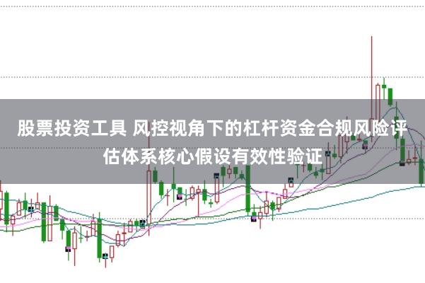 股票投资工具 风控视角下的杠杆资金合规风险评估体系核心假设有效性验证