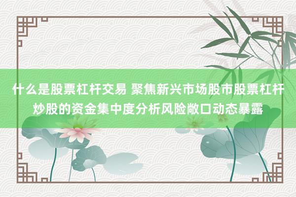 什么是股票杠杆交易 聚焦新兴市场股市股票杠杆炒股的资金集中度分析风险敞口动态暴露