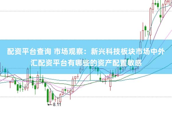 配资平台查询 市场观察：新兴科技板块市场中外汇配资平台有哪些的资产配置敏感