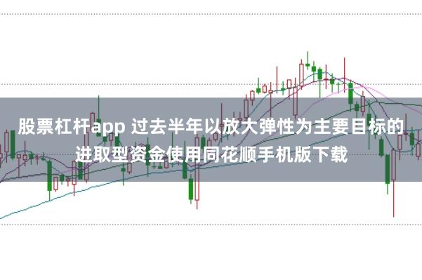 股票杠杆app 过去半年以放大弹性为主要目标的进取型资金使用同花顺手机版下载